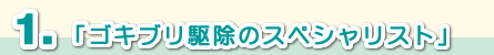 ゴキブリ駆除のスペシャリスト
