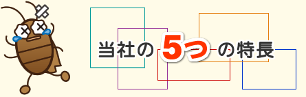 ５つの特長
